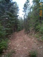 657236-access road.jpg