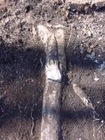 737720-RootSizeGlove.jpg