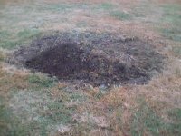 776668-Old Compost pile.jpg_0008.jpg