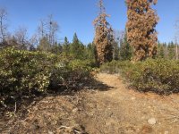 Easement before.jpg Easement before.jpg