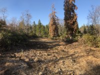 Easement after.jpg Easement after.jpg