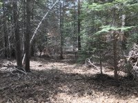 Trail after.jpg Trail after.jpg