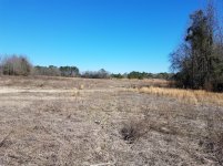homesite.jpg