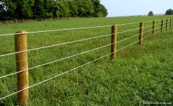 fence_21.jpg