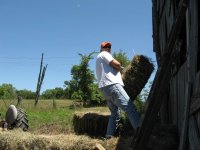 20070702133434_OH_hay_0937.jpeg