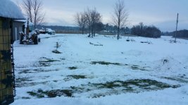 IMG_20181116_072914.jpeg