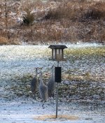 IMG_2202.JPG