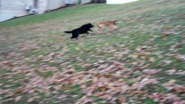 20190105_075924.jpeg