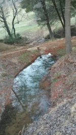20190106_171028.jpeg