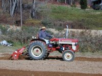 2006.11.05tractor (6).JPG