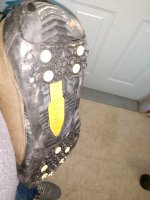IMG_20190130_104612241.jpg