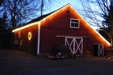 _DSC7824.JPG _DSC7824.JPG
