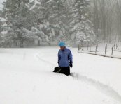yard snow deep.b.jpg