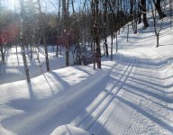 goodtracksDSCN0023.jpg