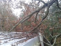 20181113_071442.jpg