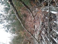20181113_110717.jpg