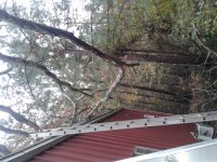 20181113_092245.jpg