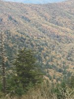 IMG_0997.JPG