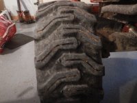 DSCN1982.JPG