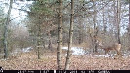 IMG_0020.JPG