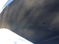 6CA66724-3D98-44D0-BA2E-FEDC39F5A1D0.jpeg