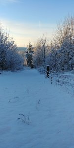 20180221_074507.jpg