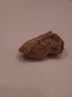 IMG_20190222_110036169.jpg