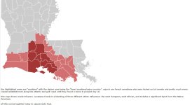 cajun LA.jpg