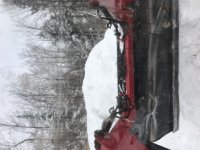 57246504681__3843D6F1-49F0-4737-B0AC-98CFFF800CC1.JPG