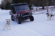 ZZZwinter 2019 LB and Leo.JPG