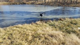 20181217_132217.jpg