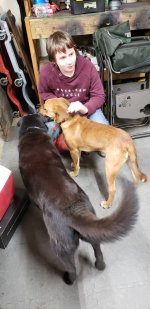 20181217_175456.jpeg