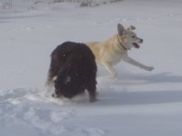 Hue Sunny Snow.jpg
