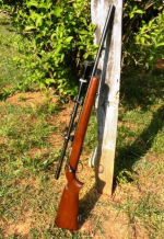 22LR.png