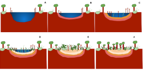 C4AD7756-C69C-4EB4-A188-E0FD0D6FCA66.png