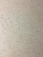 IMG_3671.jpg