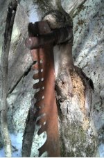 Crosscut2.JPG