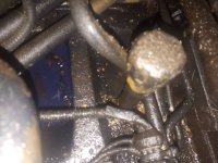 20181123_074356.jpeg