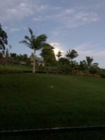 Image1542991132.388164.jpg