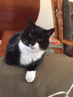 bootsie 1.jpeg