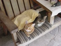 DSC04553.JPG