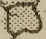 20190222_204631.jpg