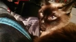 20190113_224913.jpeg