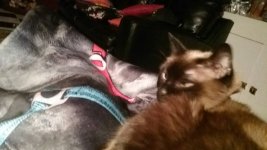 20190113_224907.jpeg