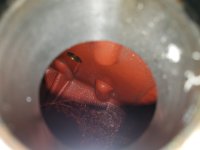 20190315_185716.jpg