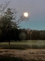 IMG_1139.JPG