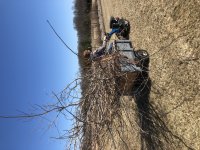 IMG_0093.JPG