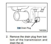 TM5.JPG