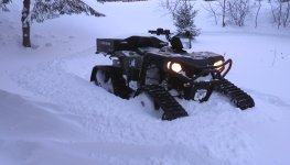 bossinsnow5.jpg