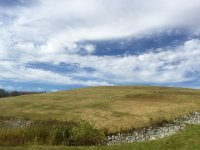 IMG_3417.jpeg